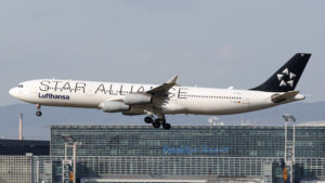 Lufthansa | Airbus A340-313 | D-AIGN | Frankfurt/Main (EDDF/FRA) | Star Alliance